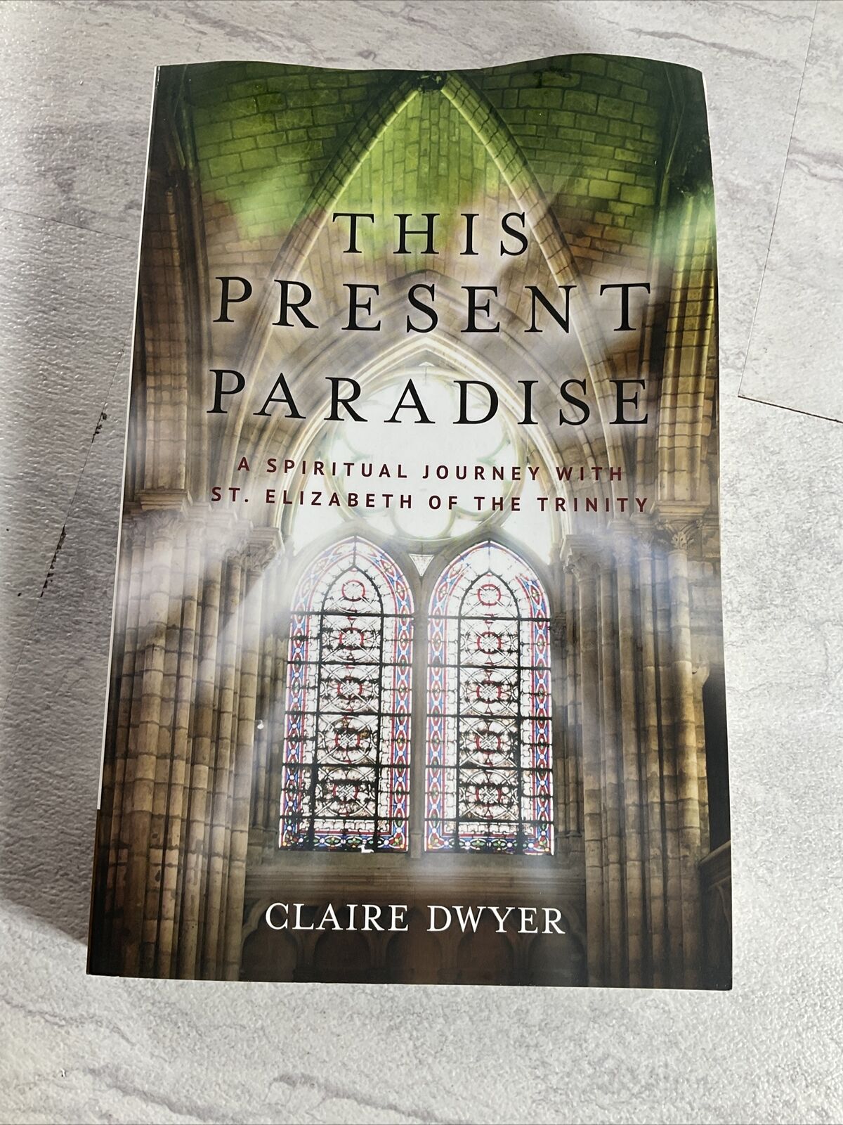 This Present Paradise PAPERBACK by Claire Dwyer (6922730176695)